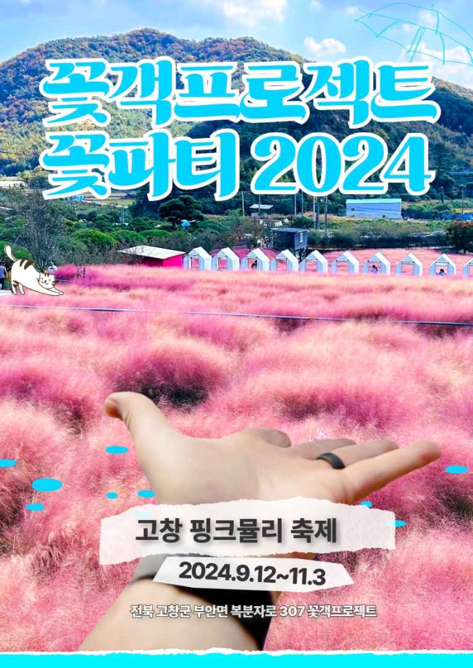 고창 핑크뮬리 축제 이미지